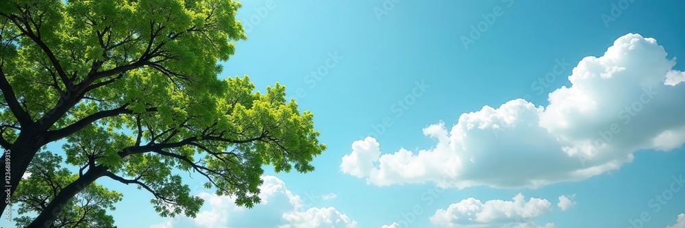 Fototapeta premium Dark branches stretch against the pale blue sky with a few fluffy white clouds, green, brown