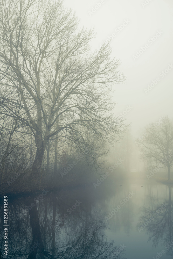 Fototapeta premium Foggy day
