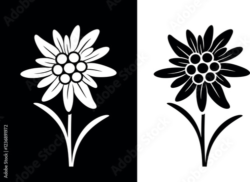 Edelweiss logo. Isolated edelweiss on white background