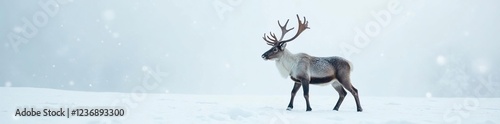 Delicate gray snowflakes gently fall around a reindeer on a pristine white background, serene atmosphere, icy landscape