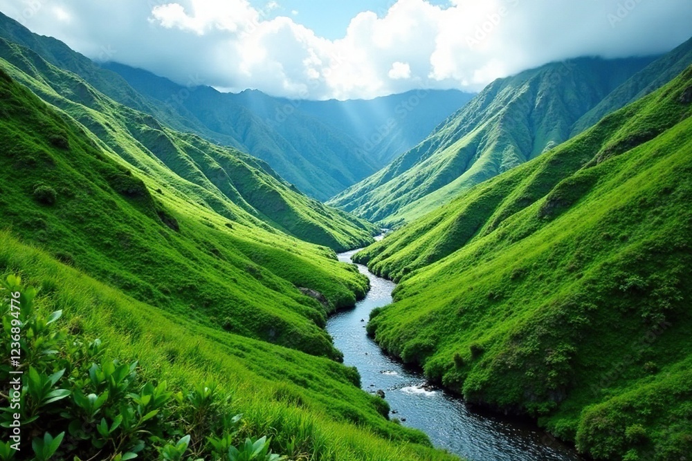 Fototapeta premium Rolling hills and valleys of Kualoa Mountain Range with a winding stream, ruggedness, hills, foliage