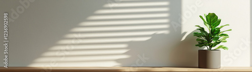 potted plant on wooden shelf with soft shadows on wall