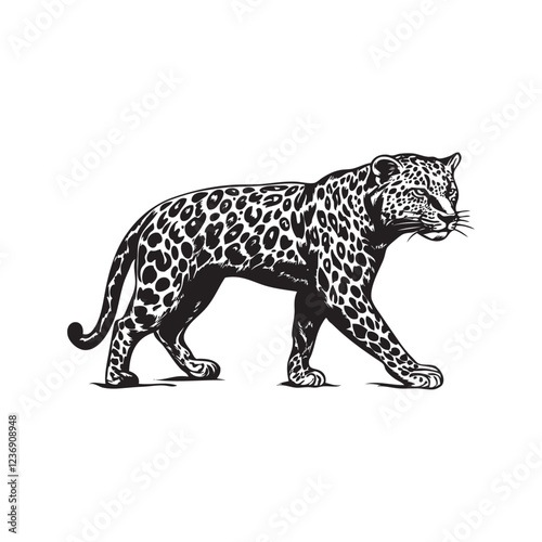 leopard