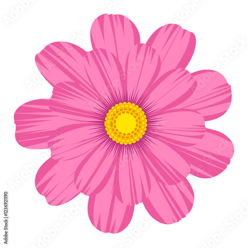 Cosmos flower clipart. Isolated cosmos flower. Vector cosmos flower.