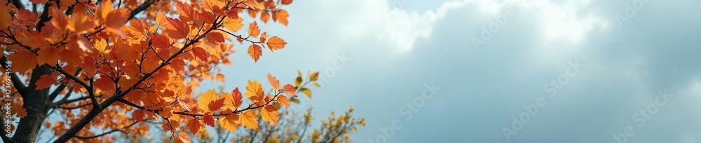 Foliage of Streblus asper against a cool gray sky background, nature, foliage, leaves Foliage of Streblus asper against a cool gray sky background, nature, foliage, leaves