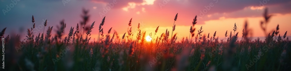 A field of tall grasses sways gently in the twilight breeze, twilight, grasses, evening sky A field of tall grasses sways gently in the twilight breeze, twilight, grasses, evening sky