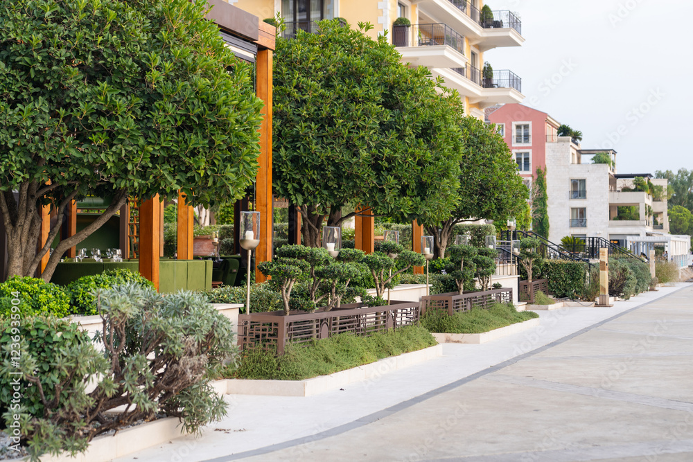 Vertical garden on a green wall. Environmentally friendly urban space. Vertical garden on a green wall. Environmentally friendly urban space.