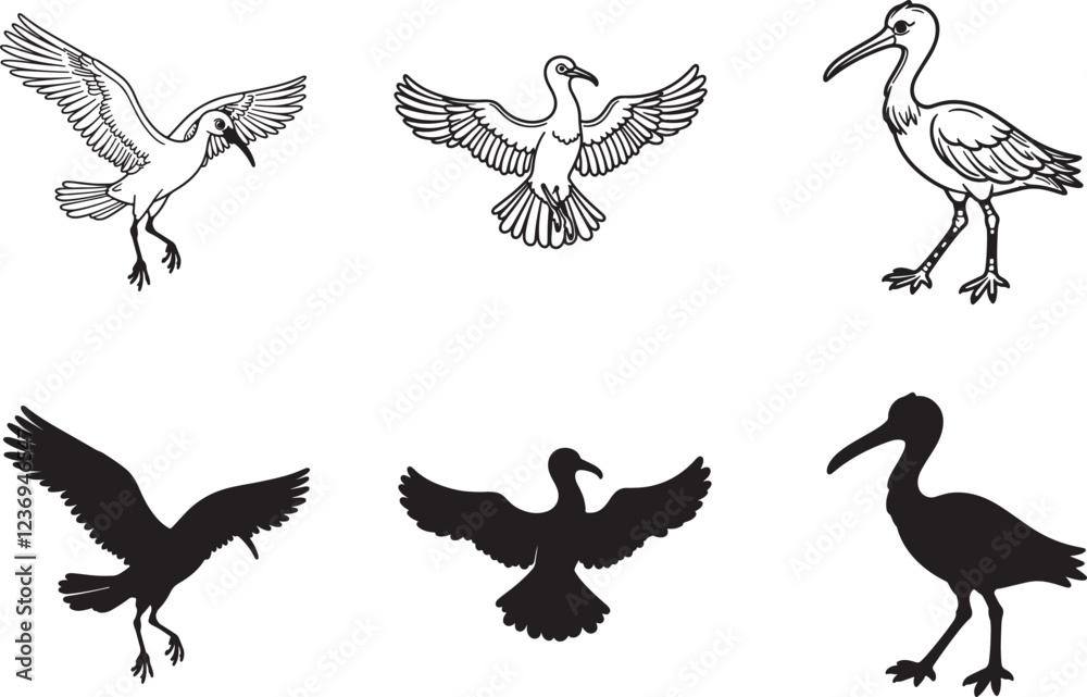 Obraz premium set of frigate birds line art and silhouette vector