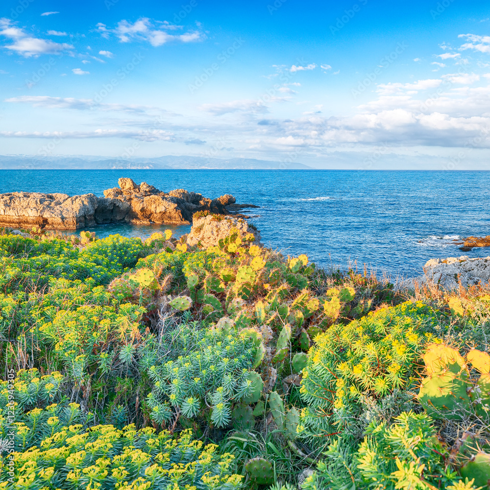 Amazing spring view on the the cape Milazzo panorama of nature reserve Piscina di Venere.