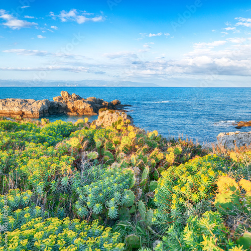 Obraz na płótnie Amazing spring view on the the cape Milazzo panorama of nature reserve Piscina di Venere. w salonie