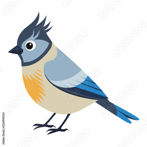 Cute titmouse bird. Suitable for educational posters, logos, children's books and encyclopedias.  Vector illustration on white background