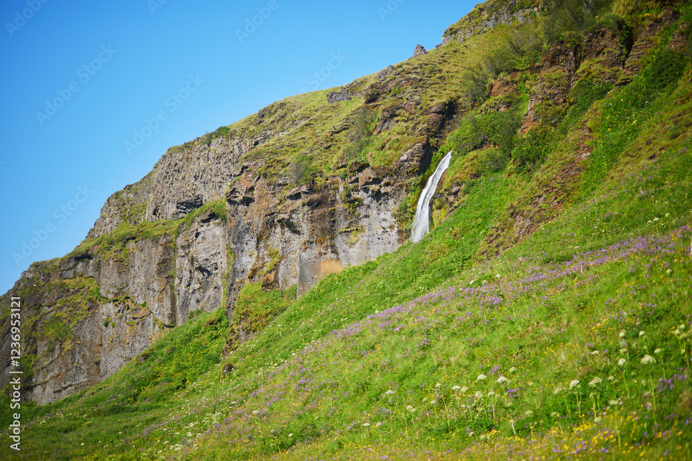 Naklejka premium Scenic view of Gljufrafoss near Seljalandsfoss, one of the biggest waterfalls of Iceland, with rainbow.