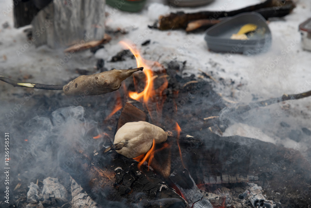 bonfire in the forest bonfire in the forest