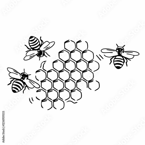 bee and honey
