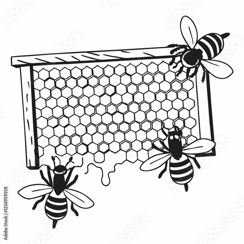 bee and honey