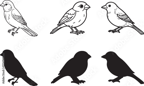 Wallpaper Mural set of sparrow birds isolated line art and silhouette vector Torontodigital.ca