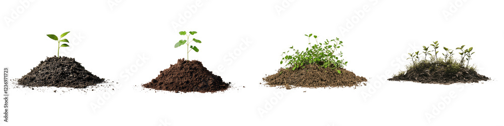 Small green plant sprouting from pile isolated on transparent background, PNG, Set of Small green plant sprouting from pile isolated on transparent background, PNG, Set of