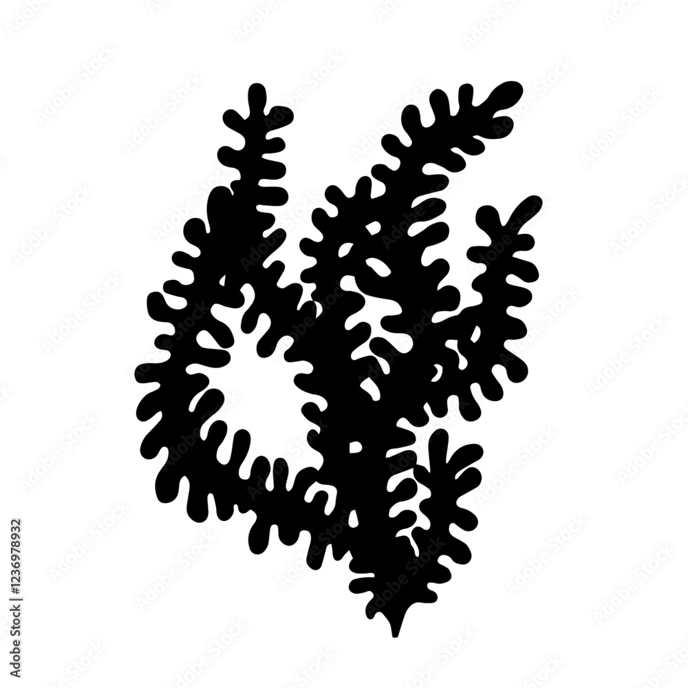 Seaweed silhouette, decorative botanical element. Vector graphics. Seaweed silhouette, decorative botanical element. Vector graphics.