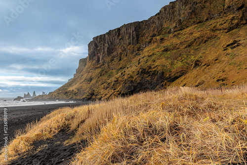 Obraz na płótnie Vikurfjara Black Sand Beach near Vik on the island of Iceland w salonie