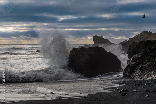Obraz na płótnie Vikurfjara Black Sand Beach near Vik on the island of Iceland w salonie