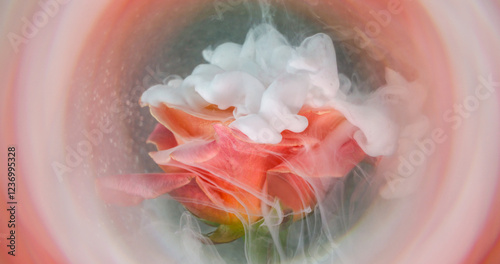 Smoke explosion. Mist flower. Elegant live glow rose white spray ink circle defocused pink peach fume water nature abstract color background. photo