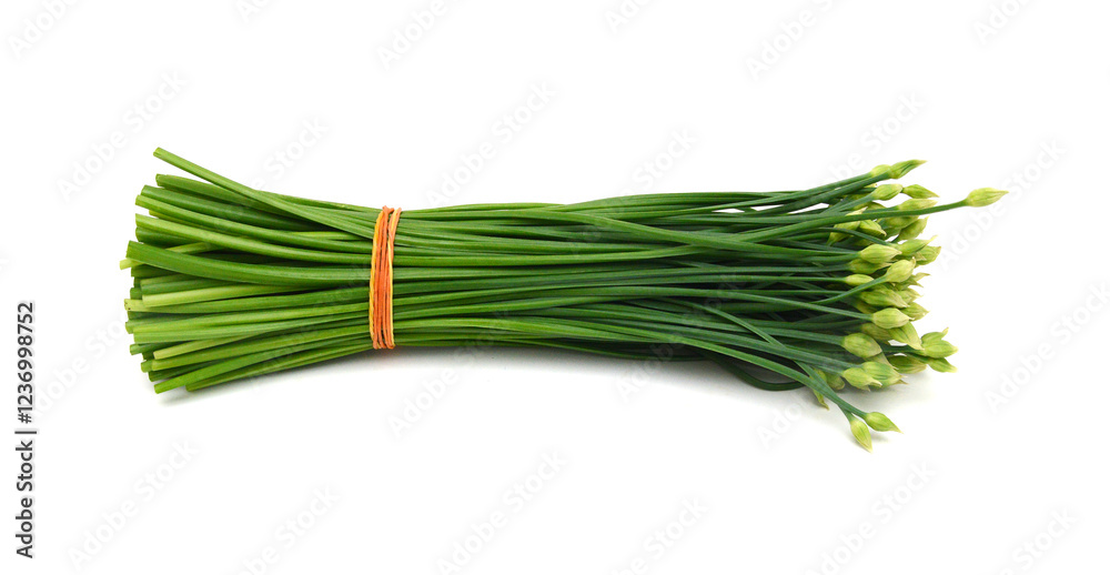 Chives flower isolated on white background. Chives flower isolated on white background.