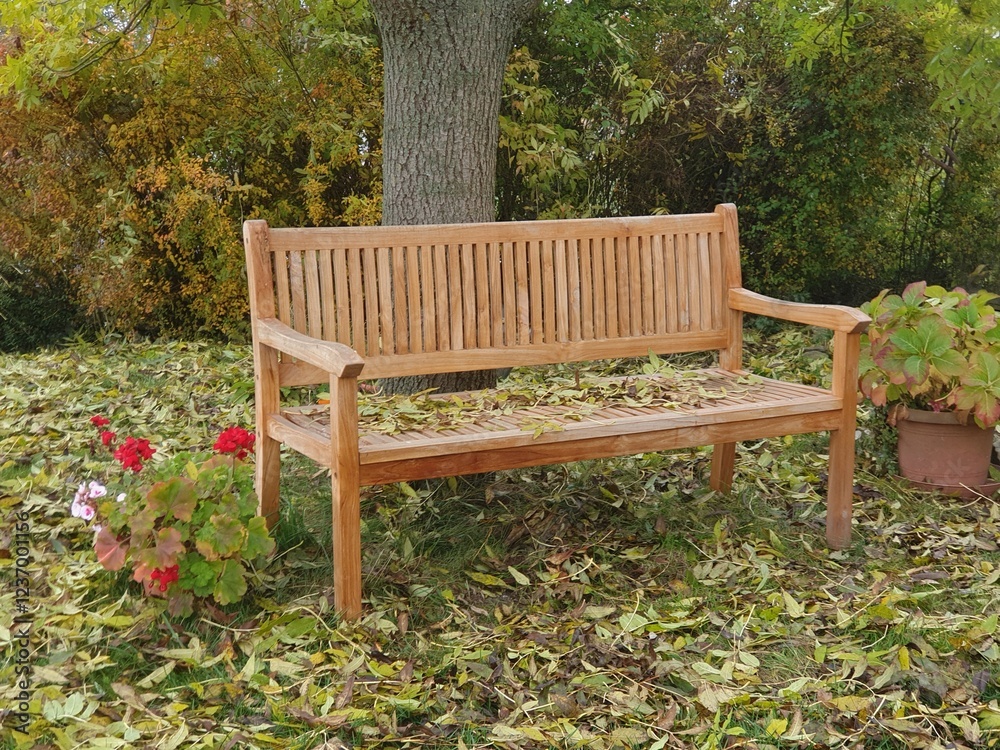 Wooden garden bench under an ash tree in autumn Wooden garden bench under an ash tree in autumn