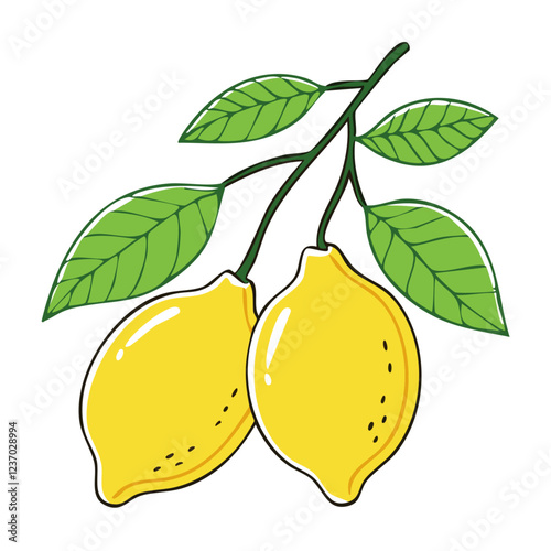 Lemons on a branch with leaves vector color illustration in line art style. Drawing of ripe citrus fruits sketch for packaging and design.