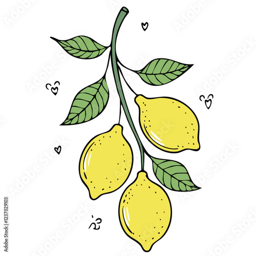 Lemons on a branch with leaves vector color illustration in line art style. Drawing of ripe citrus fruits sketch for packaging and design.