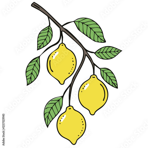 Lemons on a branch with leaves vector color illustration in line art style. Drawing of ripe citrus fruits sketch for packaging and design.