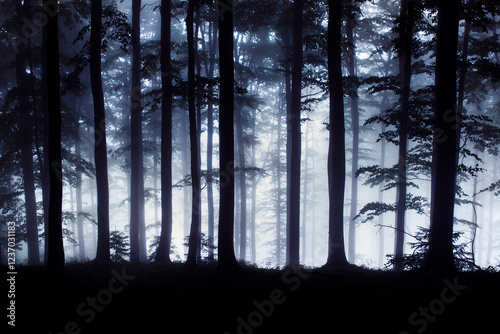 Fototapeta Naklejka Na Ścianę i Meble -   Beskidy - Szyndzielnia - Jeleń
