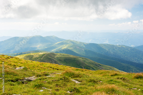 Obraz na płótnie nature landscape with alpine grassy meadow of mnt. petros in dappled light. carpathian mountain scenery of ukraine in summer. popular travel destination of transcarpathia. green environment w salonie