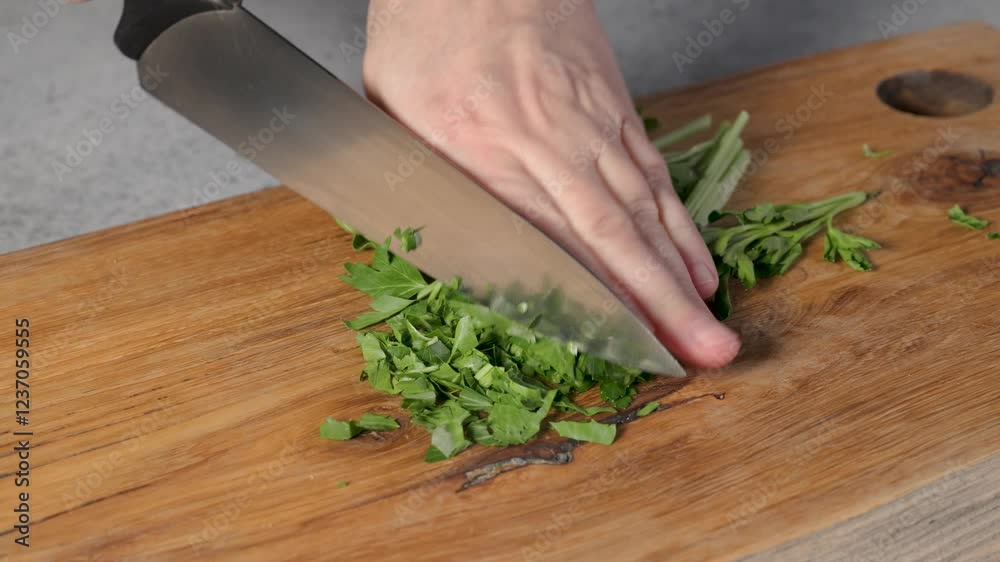 chef chopping fresh green parsley leaves on wooden cutting board in a home kitchen for making healthy vegan meal, food closeup chef chopping fresh green parsley leaves on wooden cutting board in a home kitchen for making healthy vegan meal, food closeup