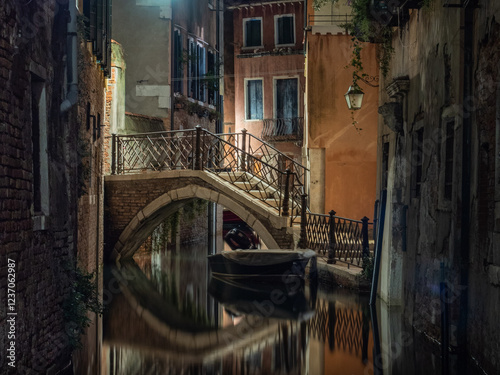 Bridge in venice at night