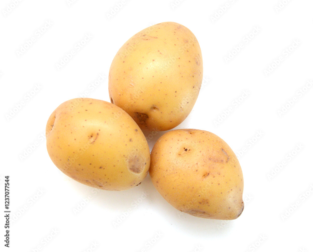 New potato isolated on white background close up New potato isolated on white background close up