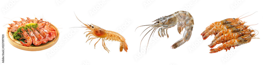 Boiled shrimp isolated on transparent background, PNG, Set of Boiled shrimp isolated on transparent background, PNG, Set of