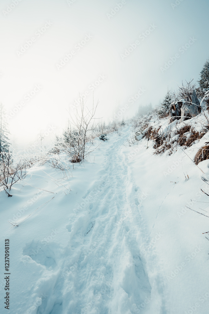 Fototapeta premium Winter hiking to Sina in Low Tatras National park near jasna is full of beautiful views. Sunset in Slovakia mountains with Chopok peak.
