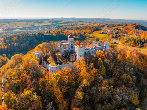 Ruins of medieval Tenczyn castle in Rudno near Krakow in Poland. photo