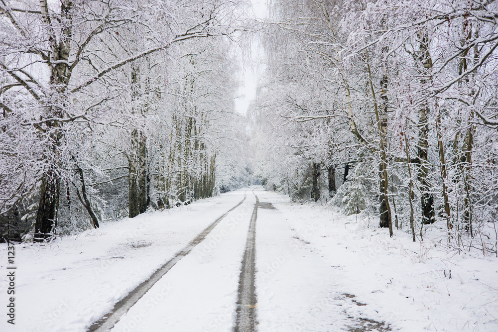 Snow-covered road winding through a tranquil, snowy forest in winter, featuring visible tire tracks on the ground and snow-laden trees lining the peaceful path ahead. Snow-covered road winding through a tranquil, snowy forest in winter, featuring visible tire tracks on the ground and snow-laden trees lining the peaceful path ahead.
