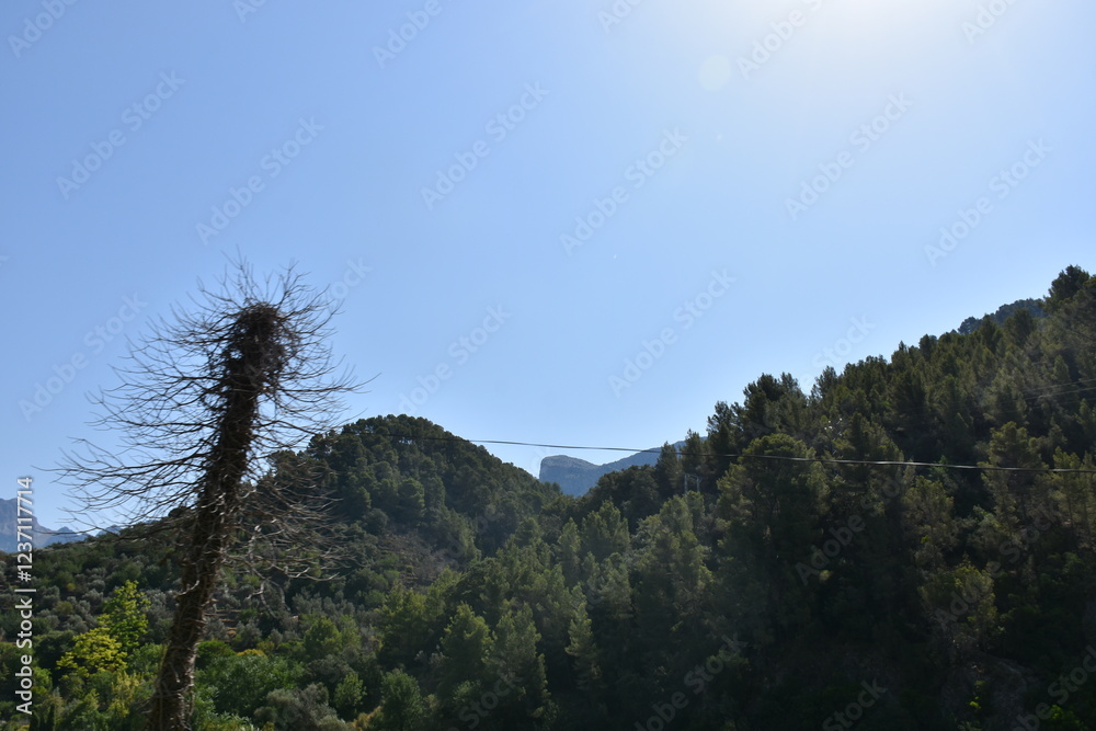 Obraz premium natural scenery