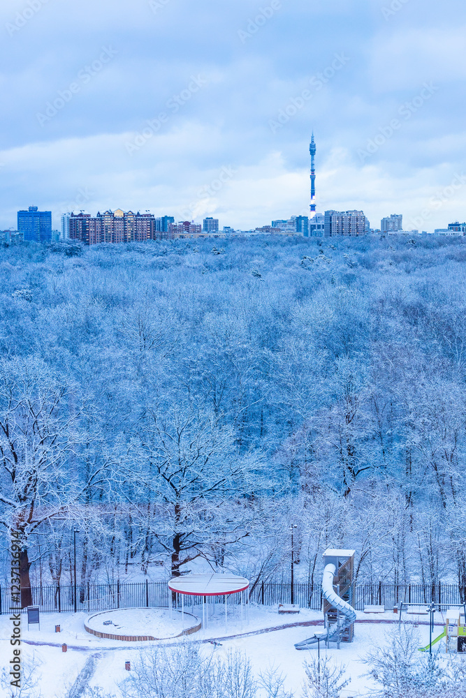 Fototapeta premium park, playground and town in blue winter dusk
