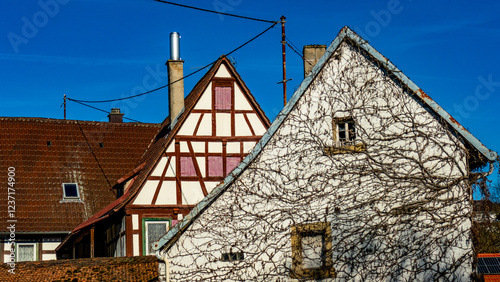 Wilder Wein an der Fassade eines alten leerstehenden Hauses photo