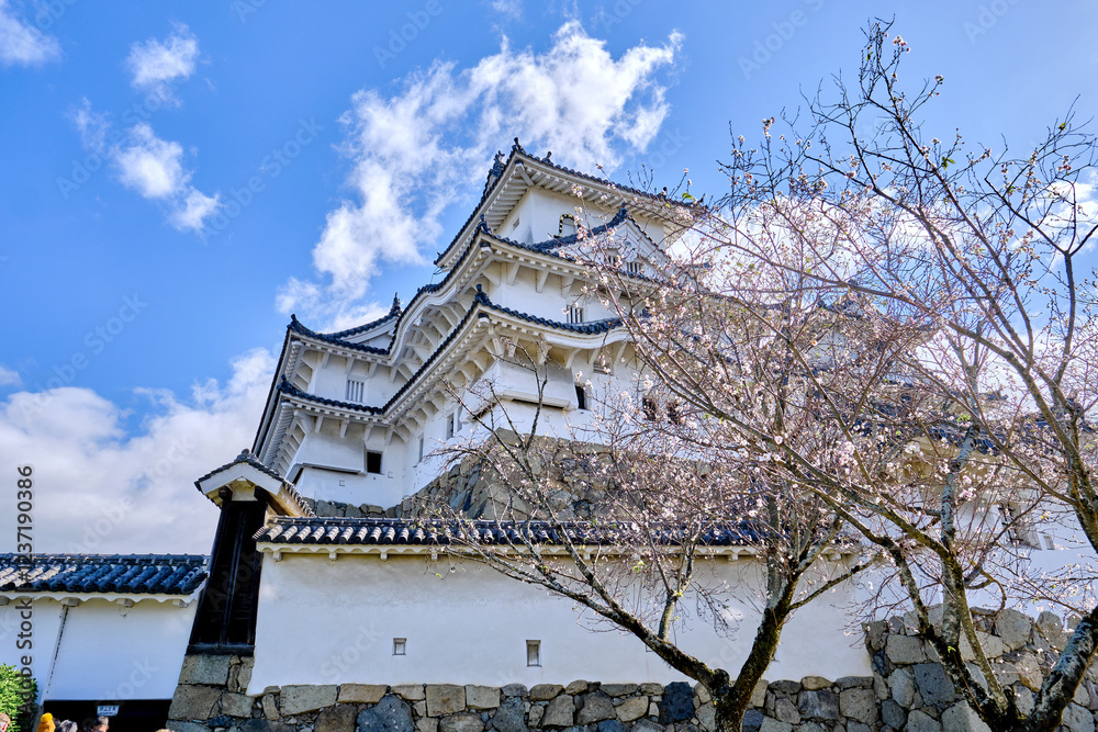 Japan - Himeji Japan - Himeji