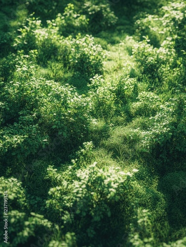 Vibrant Green Field with Wildflowers