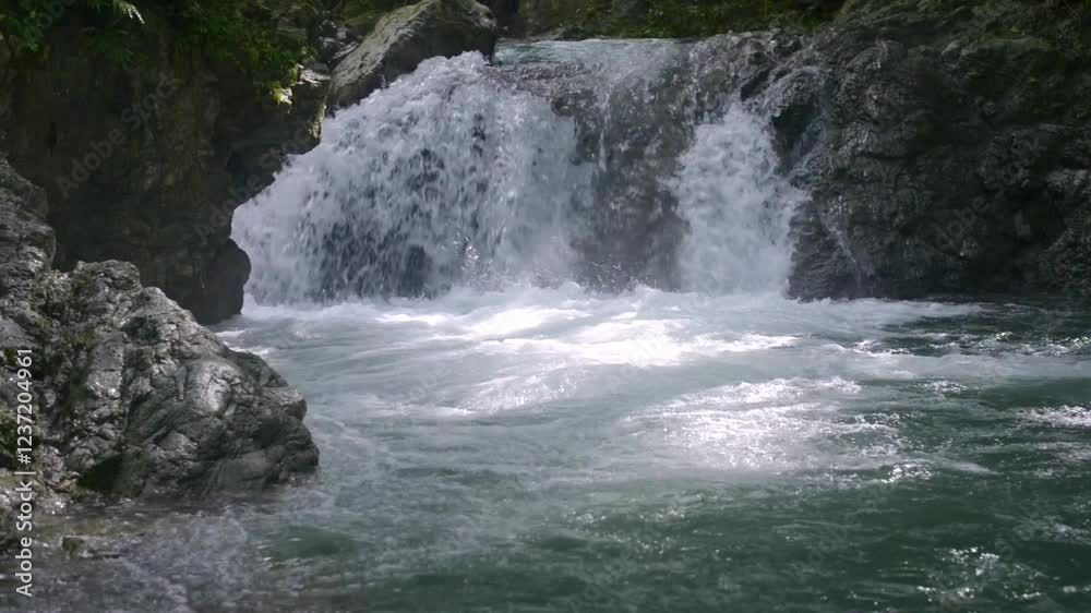 River with a rocky shell of crystal-clear water in the middle of the forest River with a rocky shell of crystal-clear water in the middle of the forest