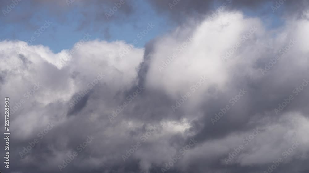 Floating Cumulus Clouds Under a Vibrant Blue Sky Floating Cumulus Clouds Under a Vibrant Blue Sky