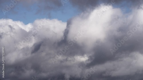 Wallpaper Mural Floating Cumulus Clouds Under a Vibrant Blue Sky Torontodigital.ca