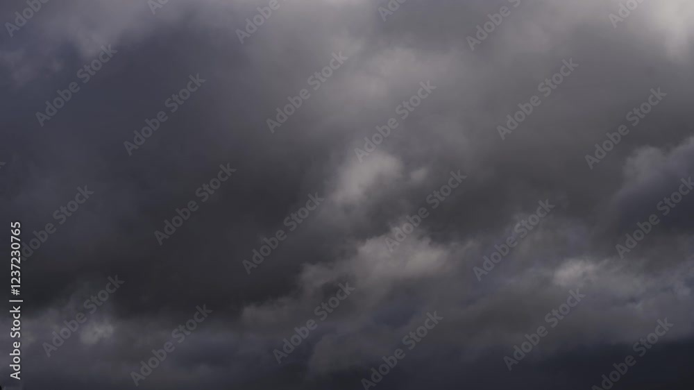 Floating Cumulus Clouds Under a Vibrant Blue Sky Floating Cumulus Clouds Under a Vibrant Blue Sky