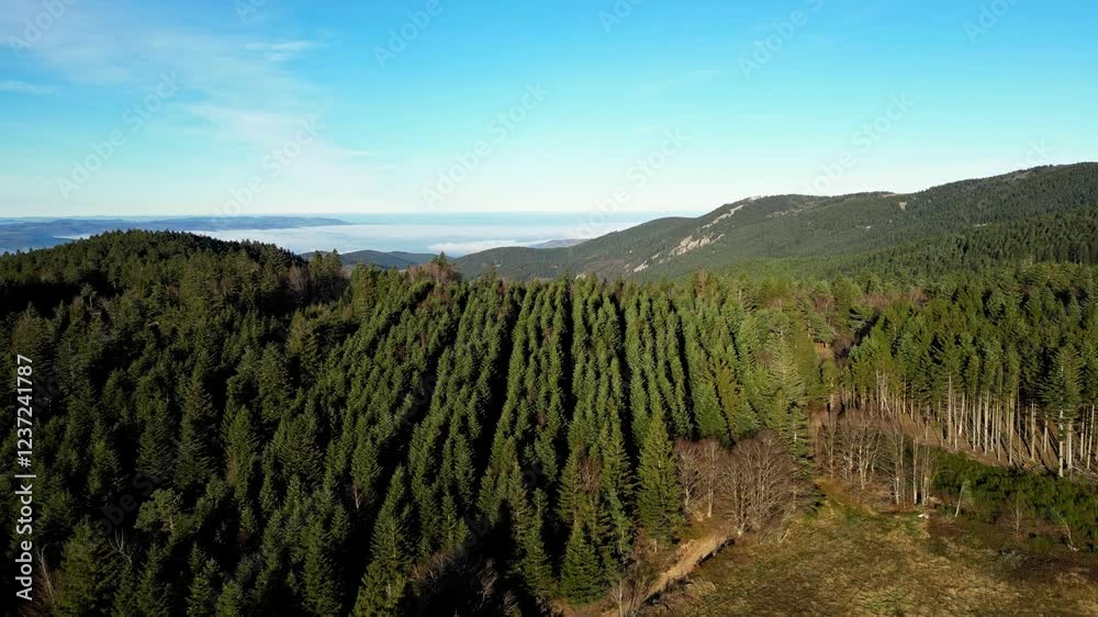 Misty view of Saint-Etienne city with surrounding forest and Pilat Regional Natural Park in France – atmospheric landscape Misty view of Saint-Etienne city with surrounding forest and Pilat Regional Natural Park in France – atmospheric landscape