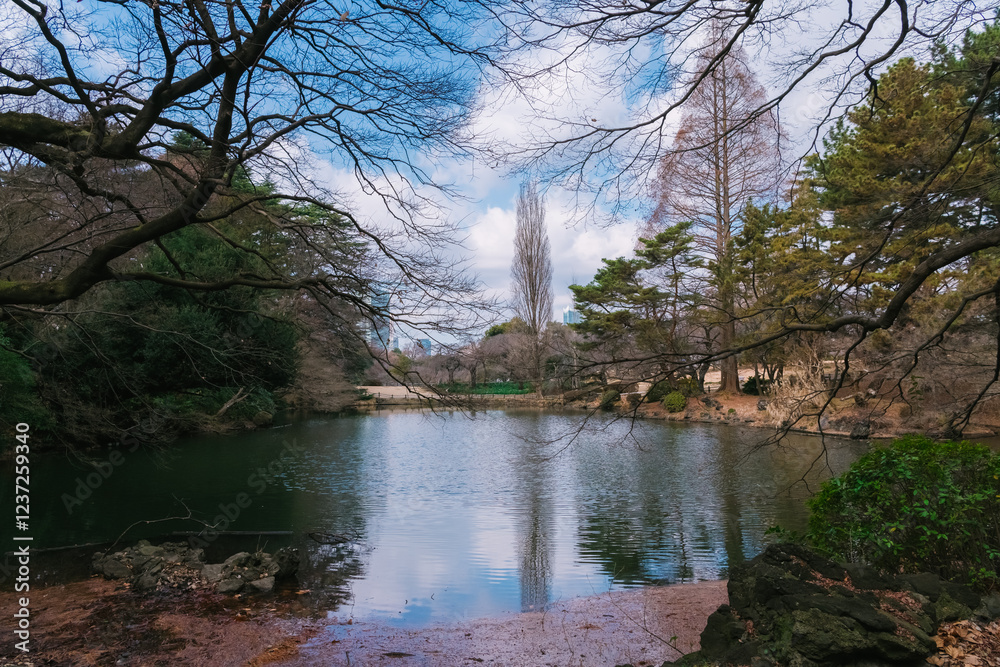 Fototapeta premium autumn in the park